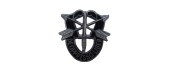 SPECIAL FORCE INSIGNIA