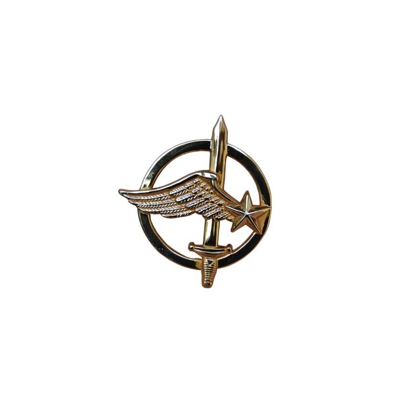 COMMANDO DE L'AIR