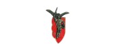 30 " 9EME REGIMENT CHASSEUR PARA