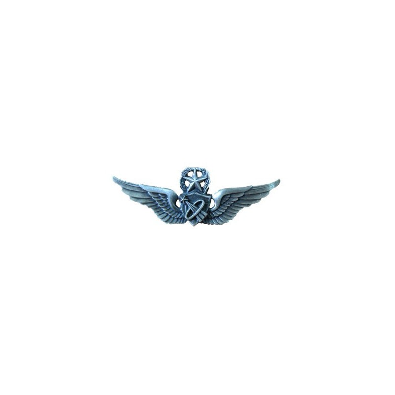 INSIGNE MASTER ARMY ASTRONAUT