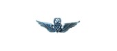 INSIGNE MASTER ARMY ASTRONAUT