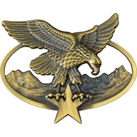 brevet chasseur alpin bsam etoile bronze