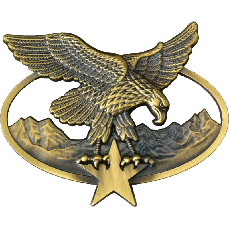 brevet chasseur alpin bsam etoile bronze