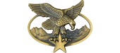 brevet chasseur alpin bsam etoile bronze