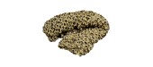 Filet de camouflage