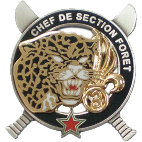 CEFE CHEF DE SECTION