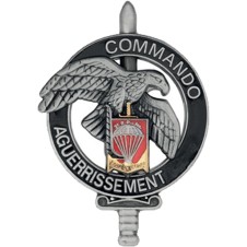 COMMANDO AGUERRISSEMENT 3 RPIMA