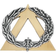 BREVET SECOURISTE ARGENT