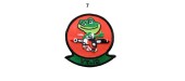 VT-19 FROGGY