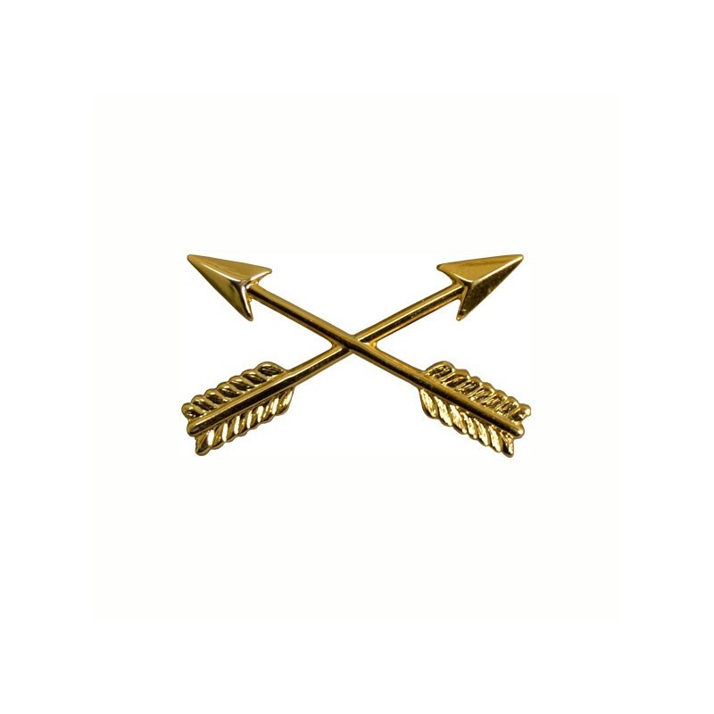 insigne de col special forces officier