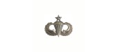 INSIGNE SENIOR PARACHUTISTE