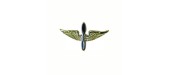 insigne de col army air corps
