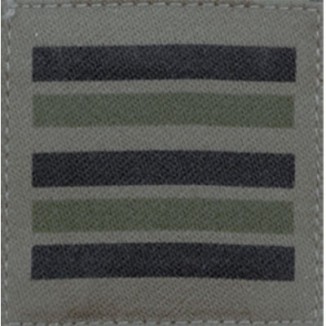 LIEUTENANT COLONEL