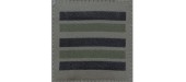 LIEUTENANT COLONEL