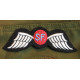 PATCHE JEDBURGHS SPECIAL FORCES WINGS