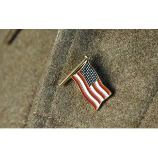 PIN's DRAPEAU US 48 ETOILES