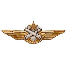 BREVET ALAT PILOTE