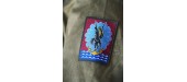 11ème division parachutiste