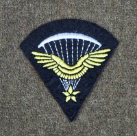 1er brevet parachutiste français infanterie de l'air