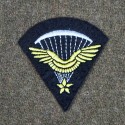 1er BREVET PARA FR. BREVET INF. DE L\'AIR MANCHE