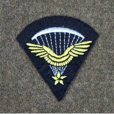 1er BREVET PARA FR. BREVET INF. DE L'AIR MANCHE
