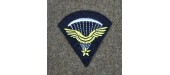 1er brevet parachutiste français infanterie de l'air