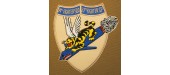 74th FIGHTER SQUADRON