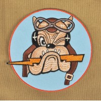 61th fighter squadron