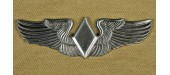 INSIGNE WASP Women Airforce Sercice Pilots