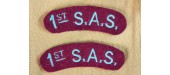 1er SAS TITRE D'EPAULE