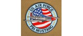 P51 US AIR FORCE