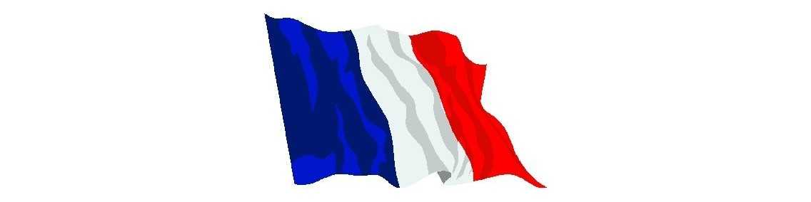 FRENCH ARMY