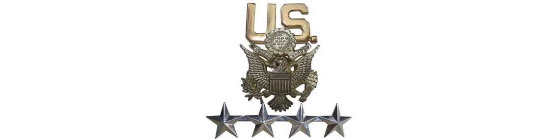INSIGNES & GRADES METAL