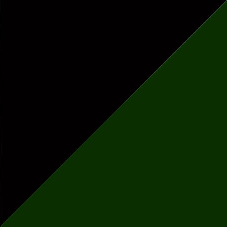 NOIR/VERT