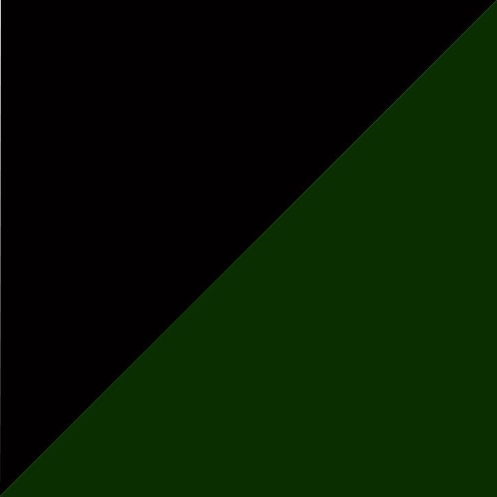 NOIR/VERT